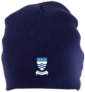 ccie15001headwear beanie hat navy.png