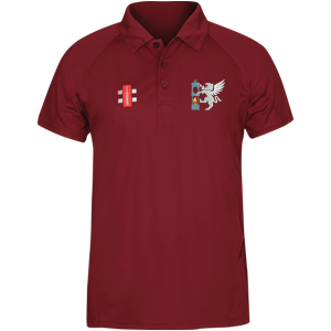 ccfc14001leisureshirts matrix polo shirt maroon.png