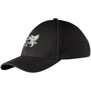 cchc13001hat cricket cap black.png