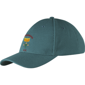 cchc13001hat cricket cap green.png