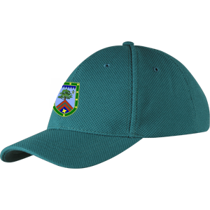 cchc13001hat cricket cap green.png