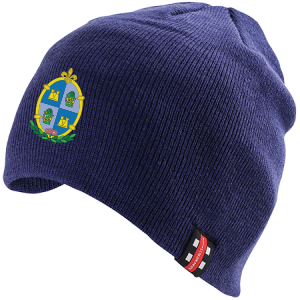 ccie15001headwear beanie hat navy.png